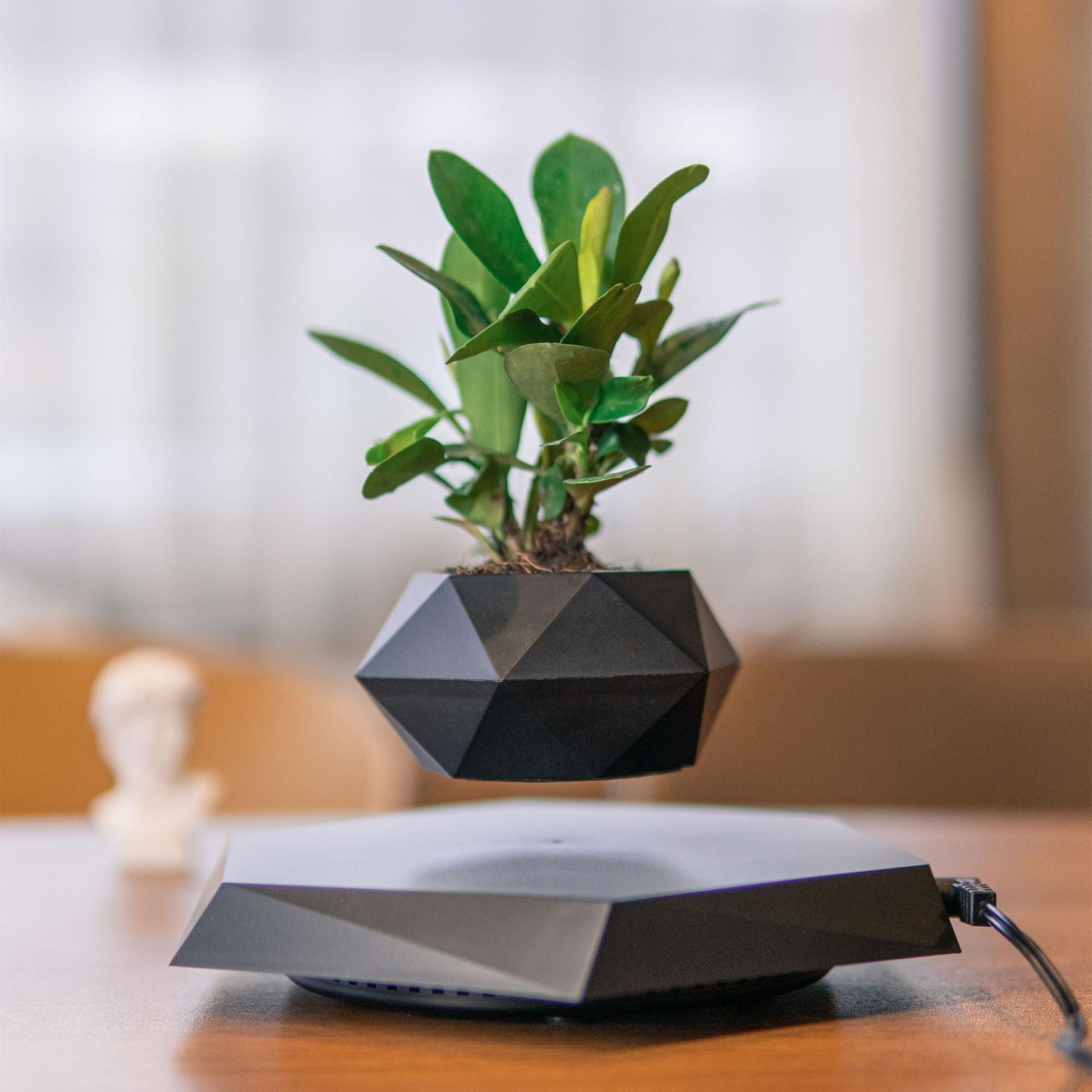 Magnetic levitation potted plant