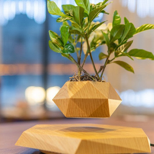 Magnetic levitation potted plant