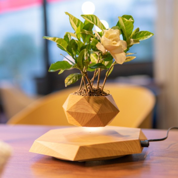 Magnetic levitation potted plant